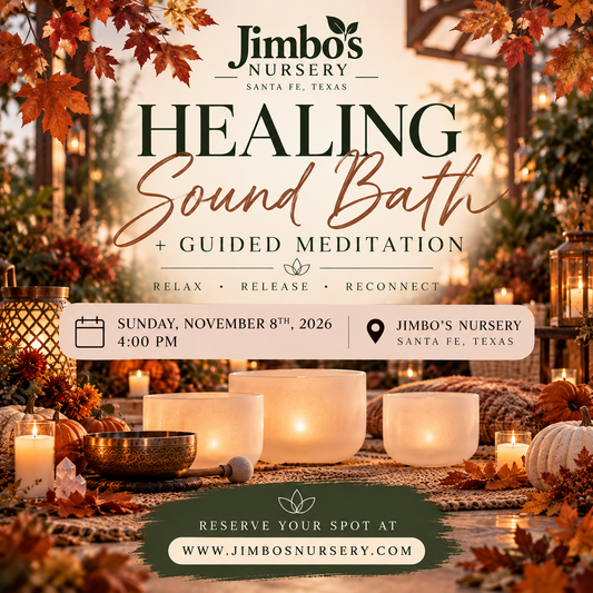 November Healing Sound Bath & Guided Meditation at Jimbo's Nursery in Santa Fe, TX